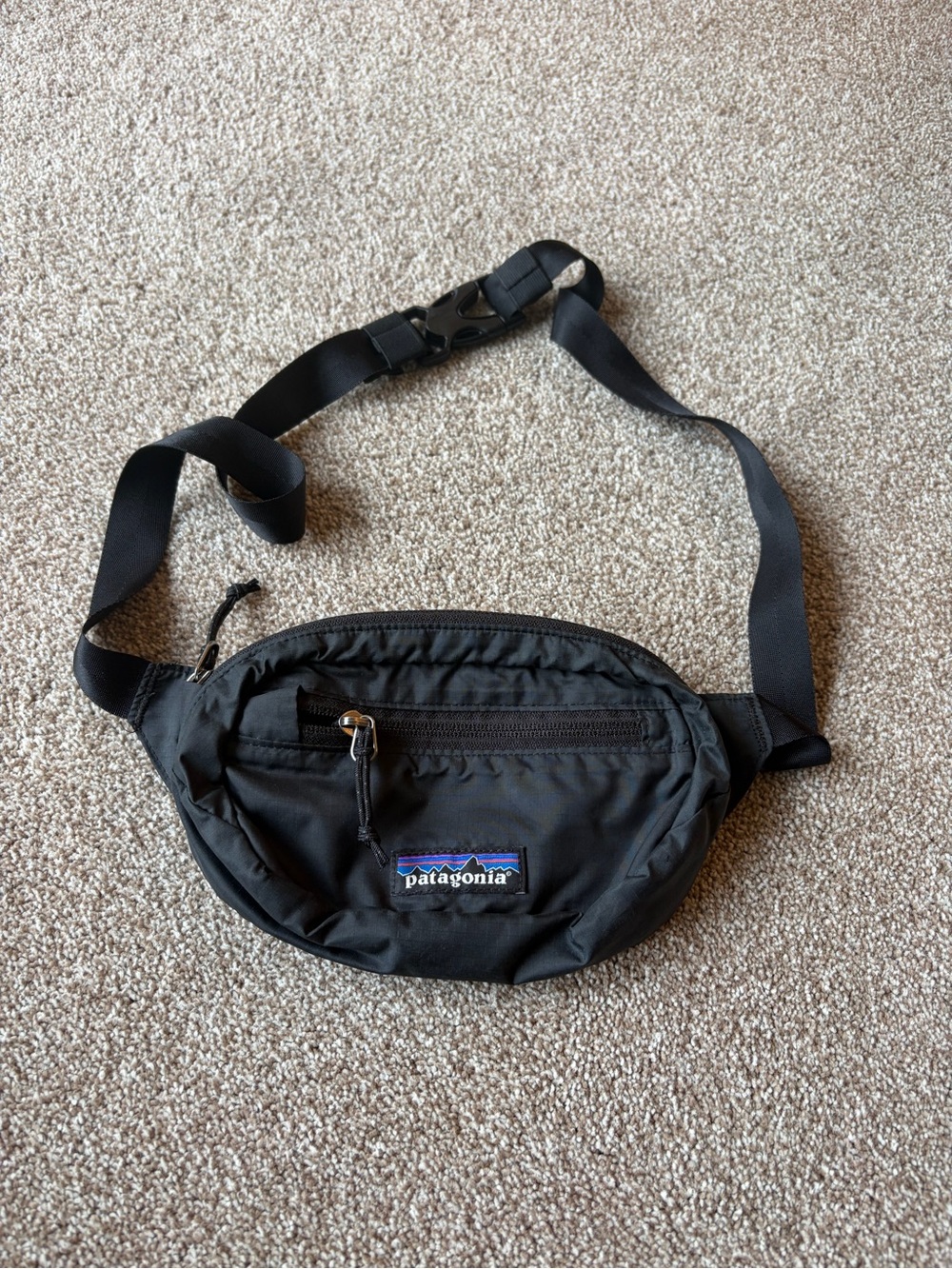 Patagonia Fanny Pack